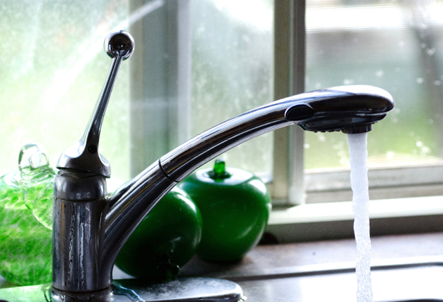 細菌の膜バイオフィルム